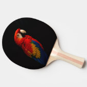 Black 4 Luxe ping pong paddle, Scarlet Parrot 卓球ラケット (横)