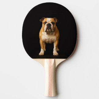 Black 4 Luxe ping pong paddle, Stamina Bulldog 卓球ラケット