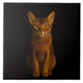 Black 4 Luxe Tile with Abyssinian Beauty タイル (正面)