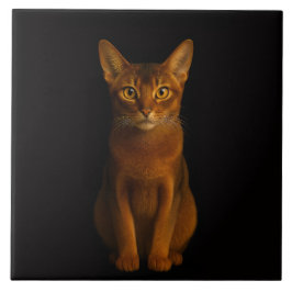 Black 4 Luxe Tile with Abyssinian Beauty タイル