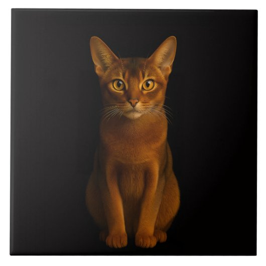 Black 4 Luxe Tile with Abyssinian Beauty タイル (正面)