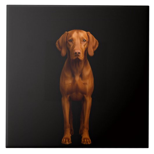 Black 4 Luxe Tile with Agile Vizsla Dog タイル (正面)