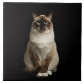 Black 4 Luxe Tile with Birmanese Cat タイル (正面)
