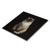 Black 4 Luxe Tile with Birmanese Cat タイル (側面)