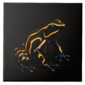 Black 4 Luxe Tile with Black Orange Tropical Frog タイル (正面)