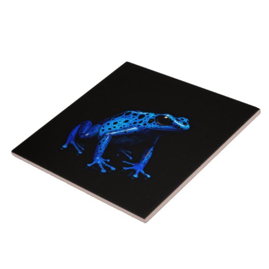 Black 4 Luxe Tile with Blue Electric Frog タイル (側面)