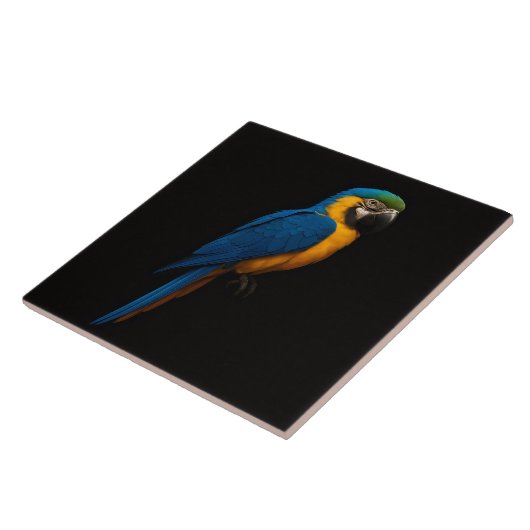 Black 4 Luxe Tile with Blue Yellow Macaw タイル (側面)