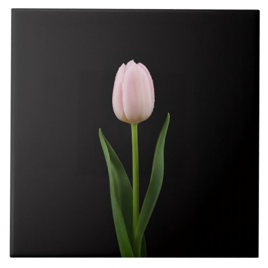 Black 4 Luxe Tile with Blush Pink Tulip タイル (正面)