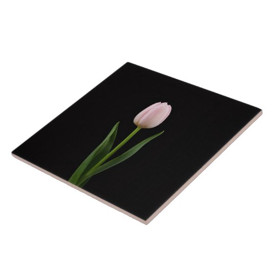Black 4 Luxe Tile with Blush Pink Tulip タイル (側面)