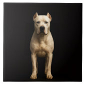 Black 4 Luxe Tile with Bold Dogo Argentino タイル (正面)