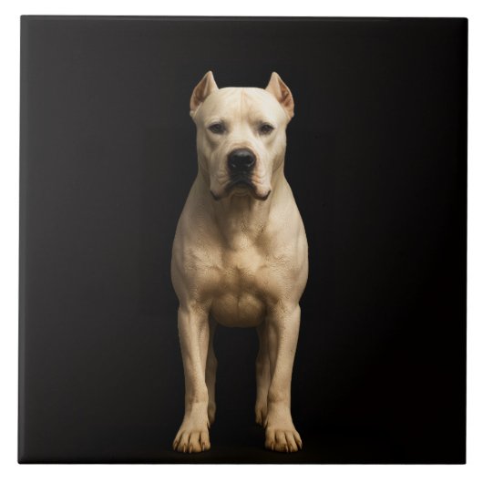 Black 4 Luxe Tile with Bold Dogo Argentino タイル (正面)