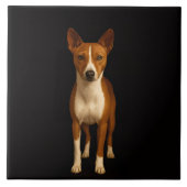 Black 4 Luxe Tile with Classy Basenji Dog タイル (正面)