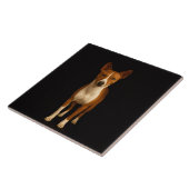 Black 4 Luxe Tile with Classy Basenji Dog タイル (側面)
