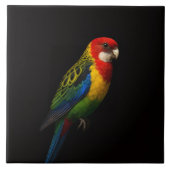 Black 4 Luxe Tile with Eastern Rosella Parrot タイル (正面)