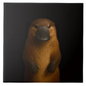 Black 4 Luxe Tile with Elegant Platypus タイル (正面)