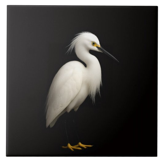 Black 4 Luxe Tile with Elegant Snowy Egret タイル (正面)