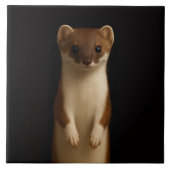 Black 4 Luxe Tile with Elegant Weasel タイル (正面)