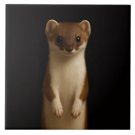 Black 4 Luxe Tile with Elegant Weasel タイル