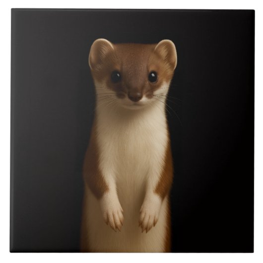 Black 4 Luxe Tile with Elegant Weasel タイル (正面)