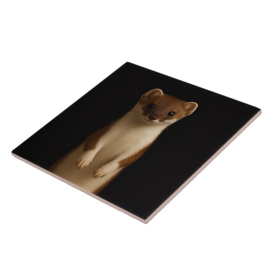 Black 4 Luxe Tile with Elegant Weasel タイル (側面)