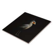 Black 4 Luxe Tile with Exotic Secretarybird タイル (側面)