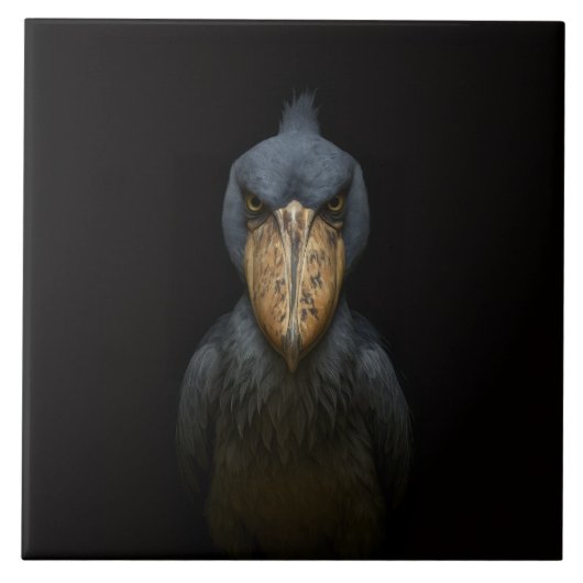 Black 4 Luxe Tile with Exotic Shoebill Bird タイル (正面)