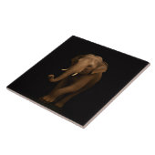 Black 4 Luxe Tile with Gentle Indian Elephant タイル (側面)