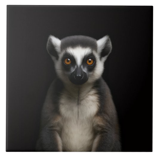 Black 4 Luxe Tile with Gentle Lemur タイル (正面)