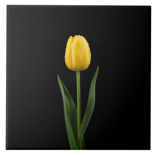 Black 4 Luxe Tile with Golden Yellow Tulip タイル (正面)