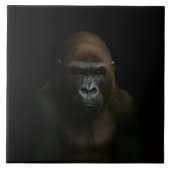 Black 4 Luxe Tile with Gorilla タイル (正面)