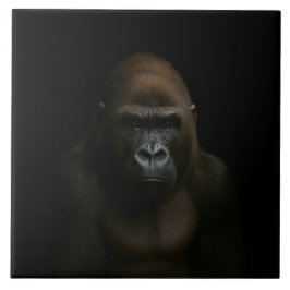 Black 4 Luxe Tile with Gorilla タイル