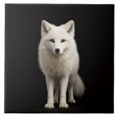 Black 4 Luxe Tile with Ivory Arctic Fox タイル (正面)