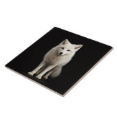 Black 4 Luxe Tile with Ivory Arctic Fox タイル (側面)