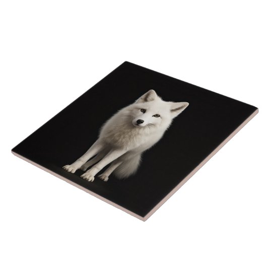 Black 4 Luxe Tile with Ivory Arctic Fox タイル (側面)