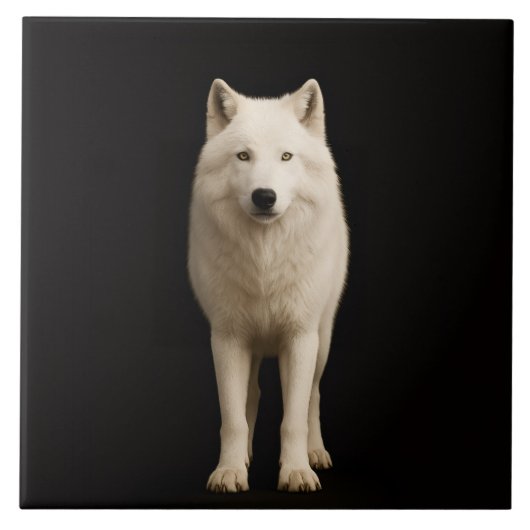 Black 4 Luxe Tile with Ivory Arctic Wolf タイル (正面)