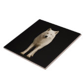 Black 4 Luxe Tile with Ivory Arctic Wolf タイル (側面)