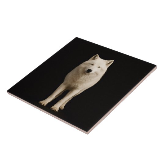 Black 4 Luxe Tile with Ivory Arctic Wolf タイル (側面)