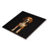 Black 4 Luxe Tile with Kind Beagle タイル (側面)