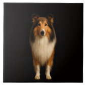 Black 4 Luxe Tile with Loyal Collie Dog タイル (正面)