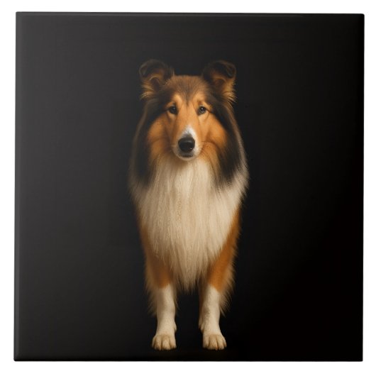 Black 4 Luxe Tile with Loyal Collie Dog タイル (正面)