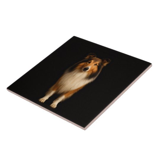 Black 4 Luxe Tile with Loyal Collie Dog タイル (側面)