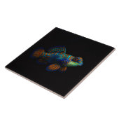 Black 4 Luxe Tile with Mandarin Dragonet Fish タイル (側面)