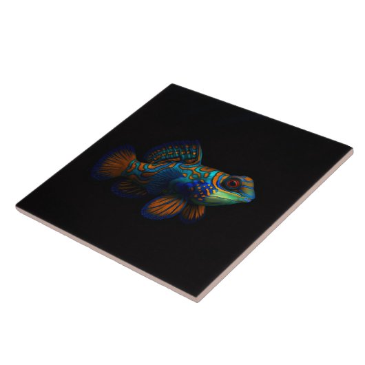 Black 4 Luxe Tile with Mandarin Dragonet Fish タイル (側面)
