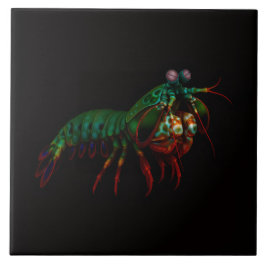 Black 4 Luxe Tile with Mantis Shrimp タイル