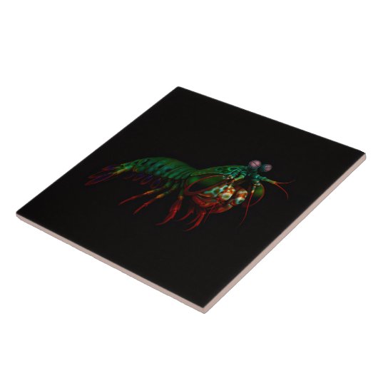 Black 4 Luxe Tile with Mantis Shrimp タイル (側面)