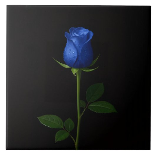 Black 4 Luxe Tile with Midnight Blue Rose タイル (正面)