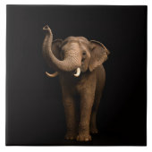 Black 4 Luxe Tile with Mighty Elephant タイル (正面)