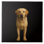 Black 4 Luxe Tile with Minimalist Labrador タイル (正面)