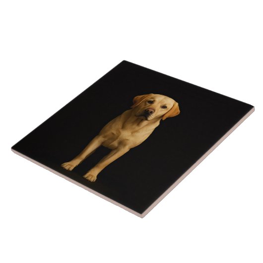 Black 4 Luxe Tile with Minimalist Labrador タイル (側面)