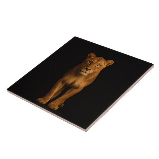Black 4 Luxe Tile with Noble Lioness タイル (側面)